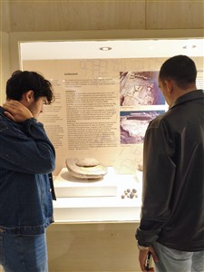 Aksaray Üniversitesi Öğrencilerinden Aksaray Müzesi'nde Sanat ve Eğitim Etkinliği